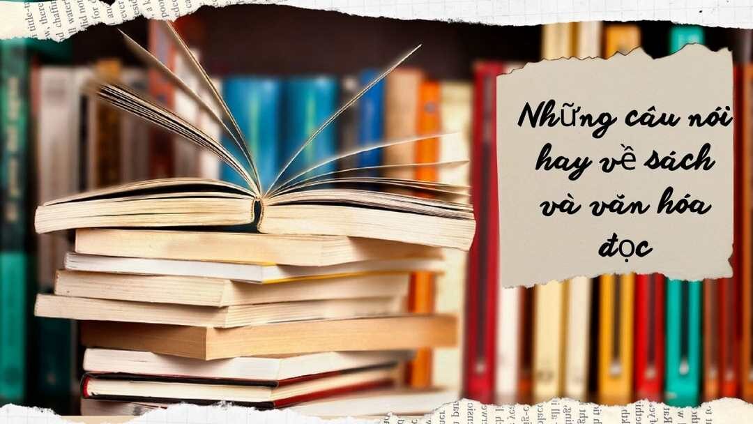30+ Câu Nói Hay Về Sách và Văn Hóa Đọc Để Bạn Tham Khảo