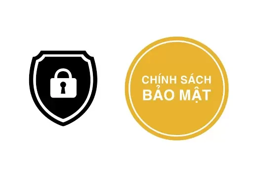 Tìm Hiểu Và Đánh Giá Chính Sách Bảo Mật Tại pagepac.org - An Toàn Thông Tin Người Dùng